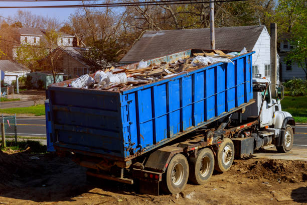 Best Recycling Services for Junk  in Alexandria, KY